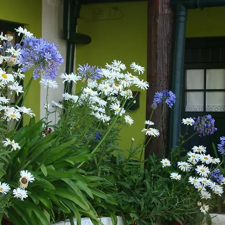 Sawmill Guest house *